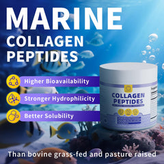 Mushroom extract blend as part of BBEEAAUU formula