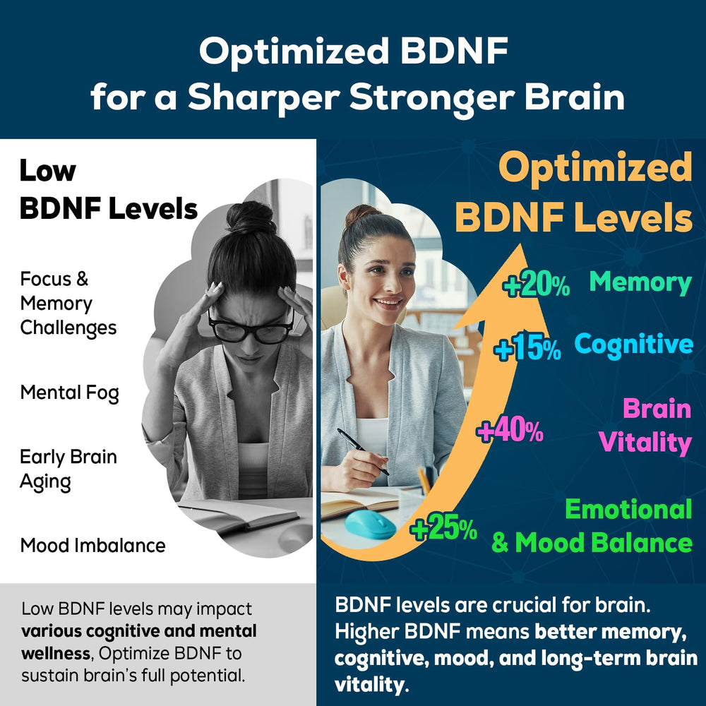 Diagram illustrating BDNF optimizer in the brain