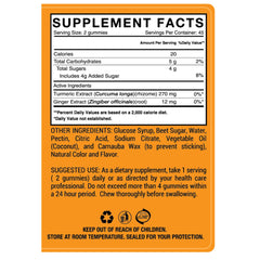 Close-up of Ginger & Turmeric Gummies showing plant-based, pectin-based formula