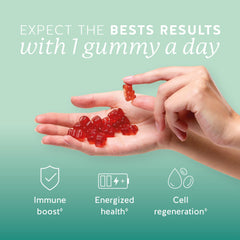 Bears with Benefits Immune Gummies product label