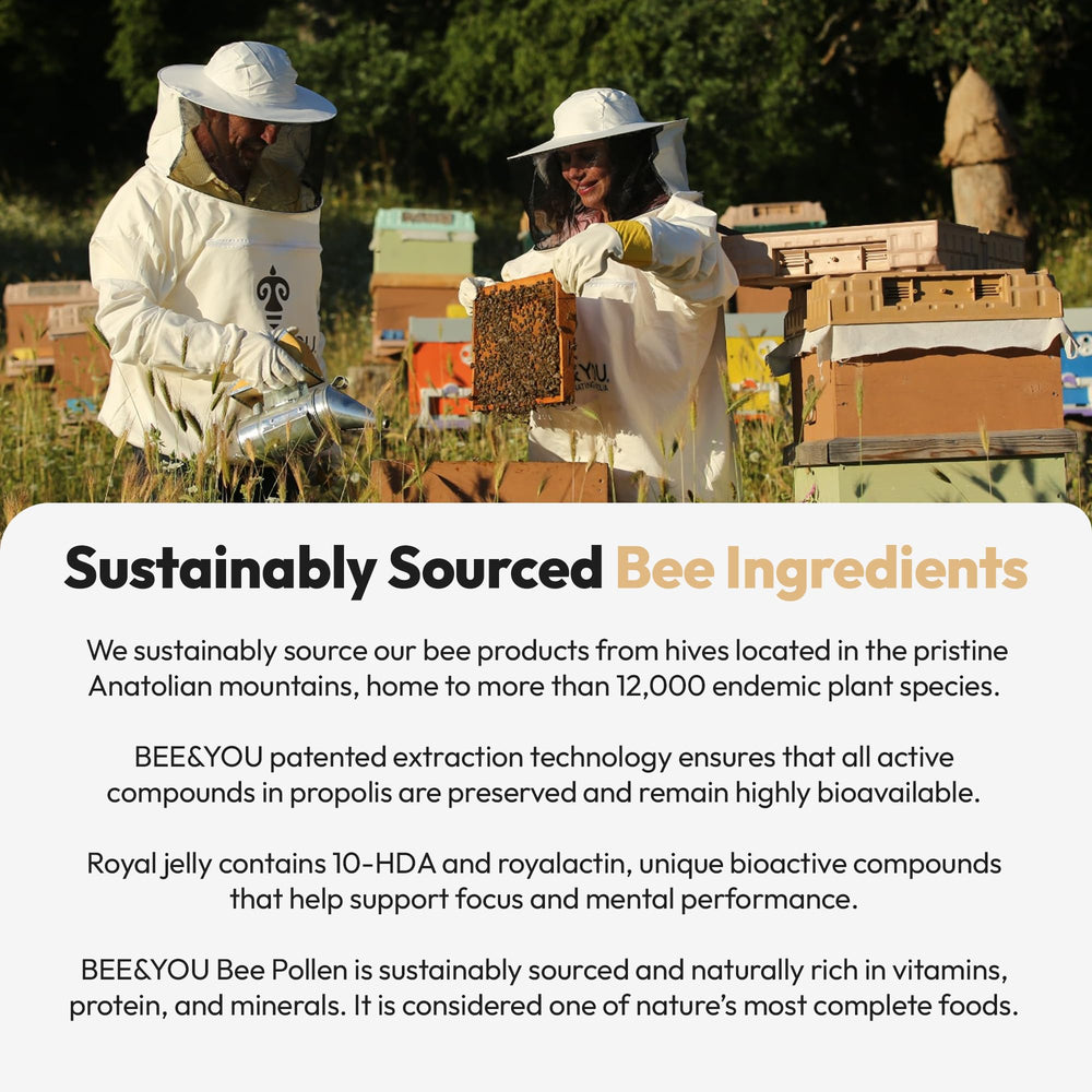Community beekeeping and sustainability initiative