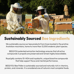 Community beekeeping and sustainability initiative