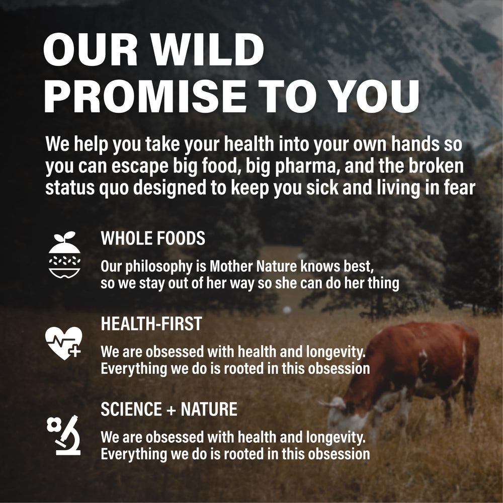 Concept image showing keto, paleo, carnivore friendly beef liver capsules