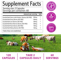 Graphic showing six grass-fed beef organs: liver, heart, uterus, ovaries, kidney, bone marrow