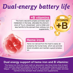 Nutrient-rich heme iron and B12 illustration