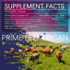 Close-up of grass-fed liver, heart, and kidney capsules