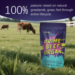 60-count bottle of beef organ supplement for women