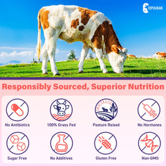 Estrogen plant extract blend and probiotic Bacillus Coagulans