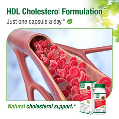 Bell Lifestyle Products logo and heritage claim