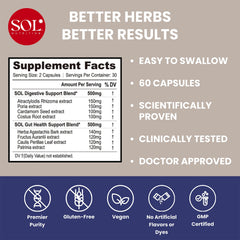 Graphic illustrating digestive enzymes and probiotics