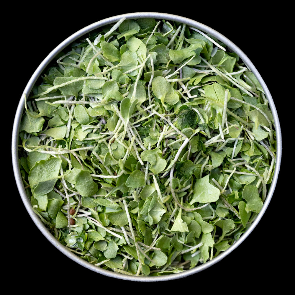 Close-up of BeMicro Broccoli Booster label on tin