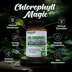Product packshot: Benevolent Chlorophyll Capsules 350 mg, 120 capsules