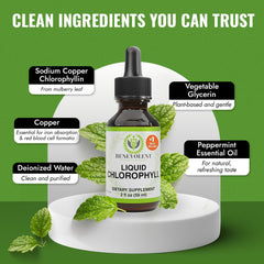 Internal deodorizer benefits concept with chlorophyll drops