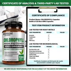 Benevolent Nourishment box flatlay showcases natural, non-GMO chlorophyll capsules.
