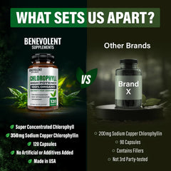 Benevolent Nourishment capsules in hand illustrate easy, on-the-go chlorophyll intake.