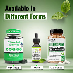 Benevolent Nourishment Chlorophyll Drops in-use—glass of water routine.