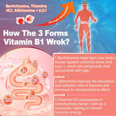 Benfotiamine and allithiamine forms of B1 in gummies
