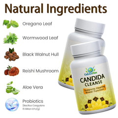 BENIX vegan capsules packaging shows plant-based gut-support daily regimen.