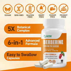 CGMP-certified manufacturing concept for Berberine 1200mg