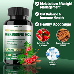 Close-up of Berberine capsules showing 60 servings per bottle