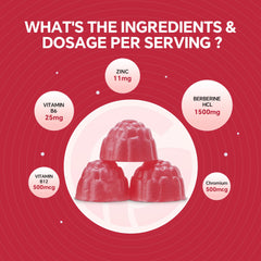 120-count bottle of berberine supplement