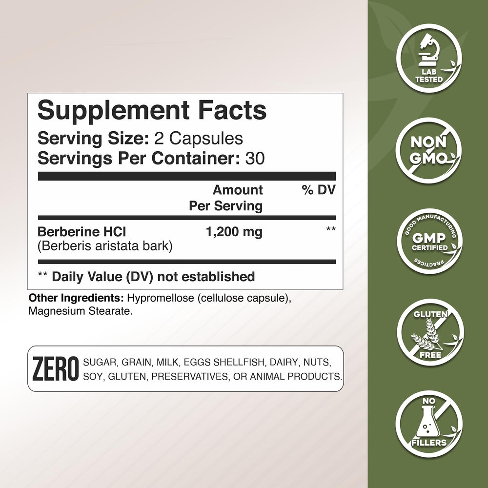 Illustration of Berberis aristata plant
