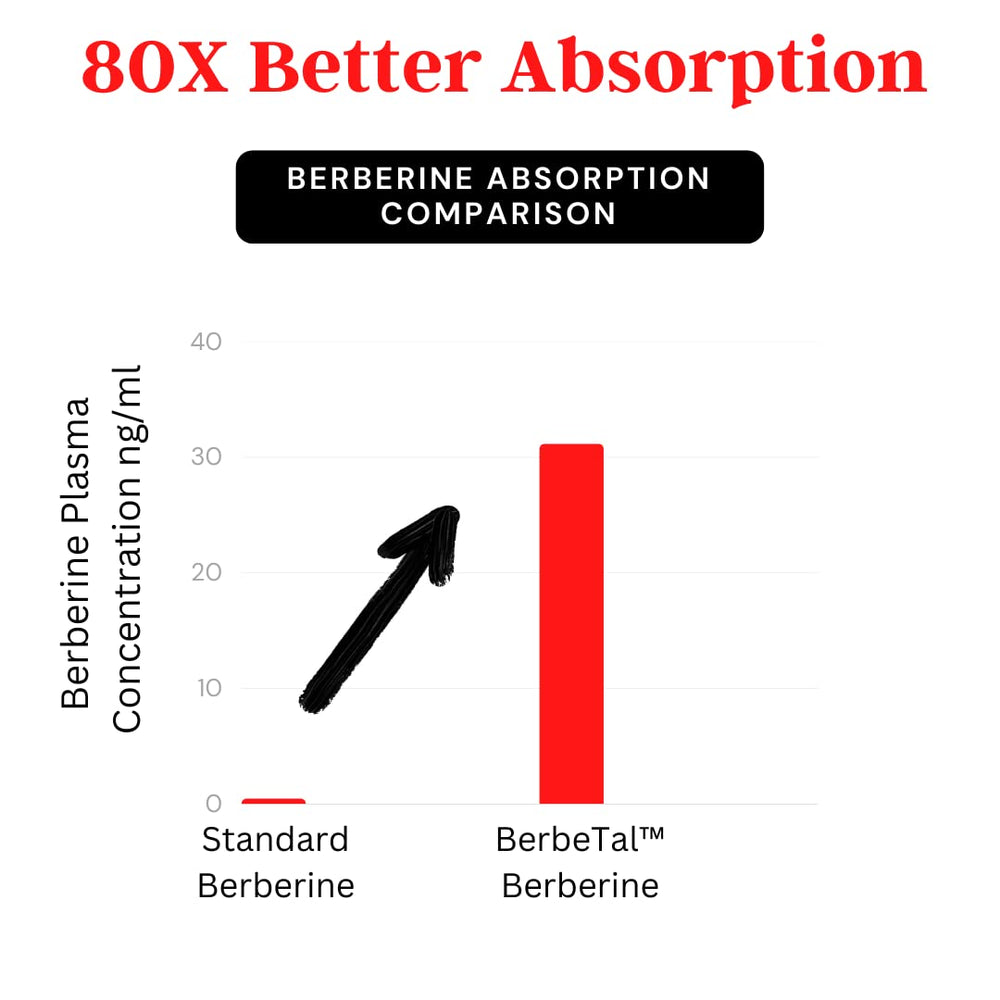 Berberine 500mg capsules inside bottle image