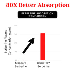 Berberine 500mg capsules inside bottle image