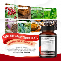 Close-up of Berberine capsules