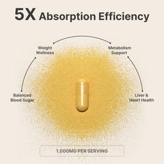 Berberine capsules for GLP-1 metabolic support