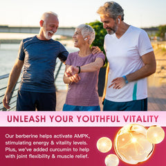 Graphic showing immune and gut health benefits of Berberine HCl 1200mg