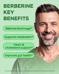 Digestive health and metabolism graphic for Berberine HCL supplement