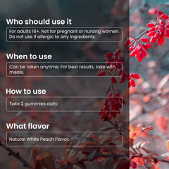 Sugar-free and vegan product badges