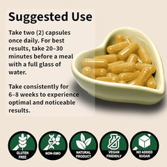 GMP-compliant manufacturing facility background