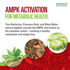 Berberine HCL phytosome green tea capsules