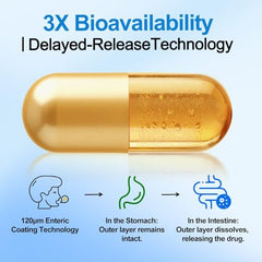 Graphic illustration of 600mg Berberine HCL dosage for AMPK activation