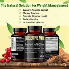 Berberine Mojo with Ceylon Cinnamon 100mg product image