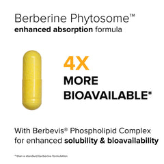 Front label displaying Berbevis Berberine and 550mg dose