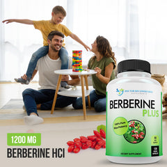 Illustration highlighting Berberine HCl from Berberis Aristata