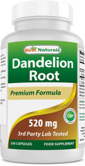 Front view of Best Naturals Dandelion Root 520 mg bottle