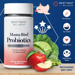 Graphic showing gut-brain health connection