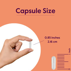 NSF GMP certified facility symbol