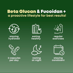 Brown seaweed extract with 85% Fucoidan content