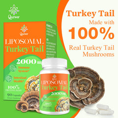 Beta-glucans 40 percent turkey tail mushroom close-up