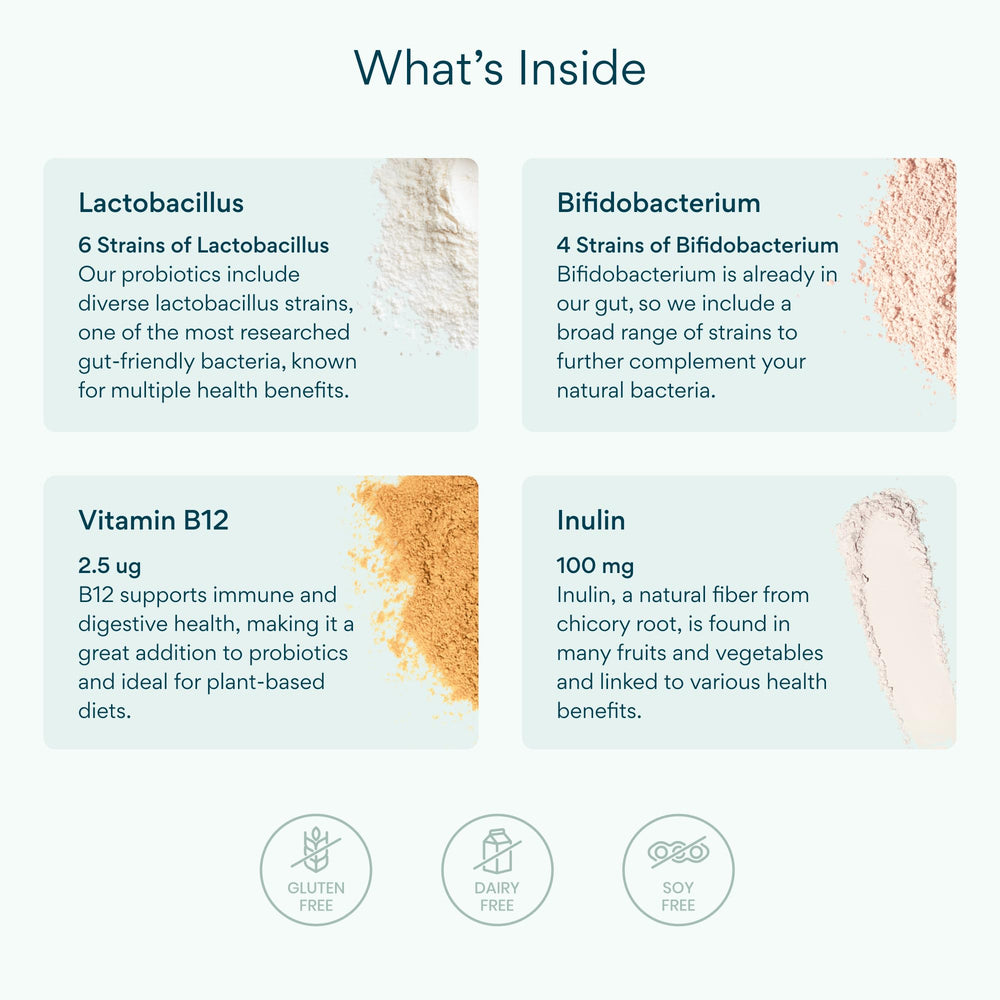 Inulin prebiotic fiber supporting healthy gut bacteria