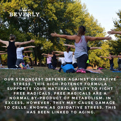 Beverly International brand logo and legacy since 1967