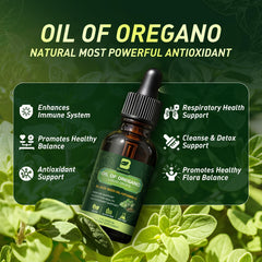 Immune support and antioxidant benefits concept with oregano oil