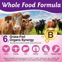 Premium 100% grass-fed beef organs for women’s health and vitality