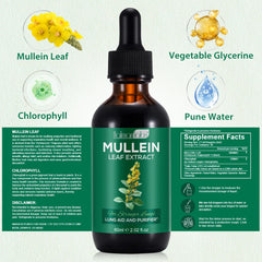 Mullein Drops bottle for lungs