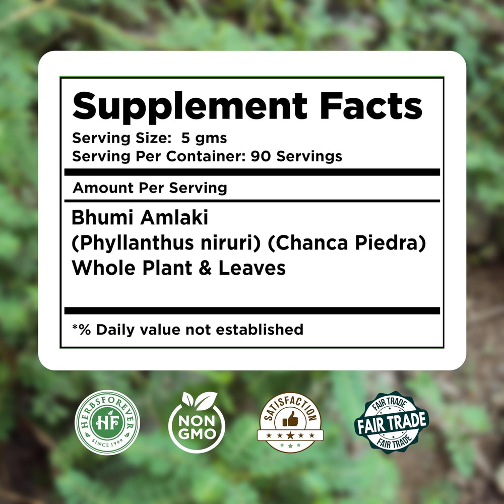 Bulk Bhumi Amalaki powder 454 g pack